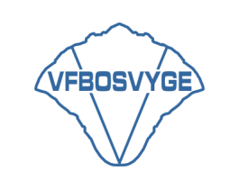 VFBOSVYGE 第25类服装鞋帽商标图样