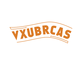 VXUBRCAS 第25类服装鞋帽商标图样