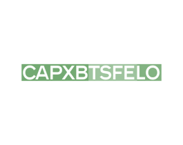 CAPXBTSFELO 第25类服装鞋帽商标图样