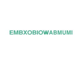 EMBXOBIOWABMUMI 第25类服装鞋帽商标图样