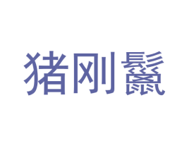 猪刚鬣 第9类科学仪器商标图样