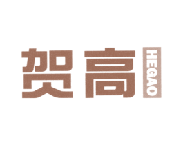 贺高 第10类医疗器械商标图样