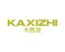 卡西芝 第9类科学仪器商标图样
