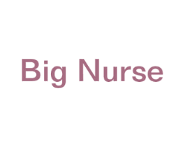 BIG NURSE 第3类化妆品商标图样