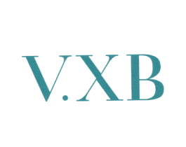 V.XB 第3类化妆品商标图样