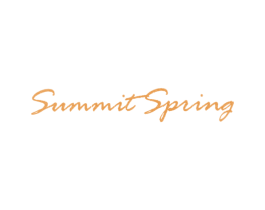 SUMMIT SPRING 第25类服装鞋帽商标图样