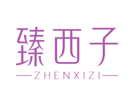 臻西子 第35类广告贸易商标图样