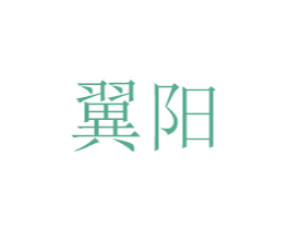 翼阳 第28类体育玩具商标图样