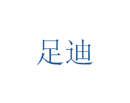 足迪 第27类地毯席垫商标图样