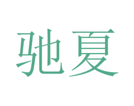 驰夏 第21类厨房洁具商标图样