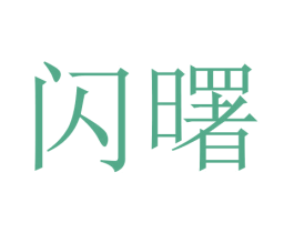 闪曙 第21类厨房洁具商标图样