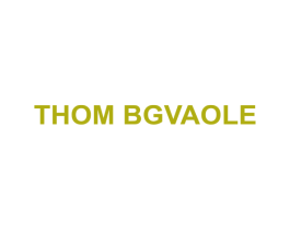 THOM BGVAOLE 第25类服装鞋帽商标图样