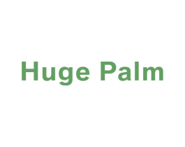 HUGE PALM 第25类服装鞋帽商标图样
