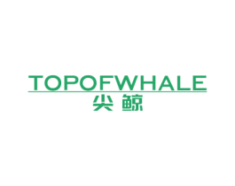 尖鲸TOPOFWHALE 第6类五金金属商标图样