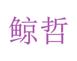 鲸哲 第35类广告贸易商标图样