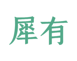 犀有 第27类地毯席垫商标图样