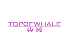 尖鲸 TOPOFWHALE 第9类科学仪器商标图样