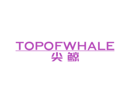 尖鲸 TOPOFWHALE 第12类运输工具商标图样