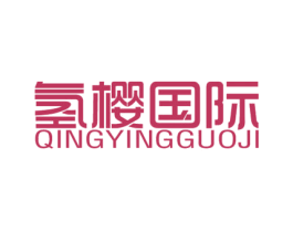 氢樱国际 第18类皮革箱包商标图样