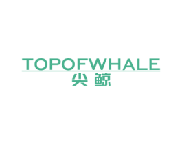 尖鲸 TOPOFWHALE 第20类家具商标图样