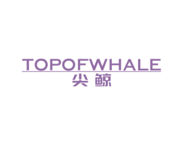 尖鲸 TOPOFWHALE 第21类厨房洁具商标图样