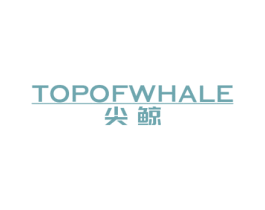 尖鲸 TOP OF  WHALE 第37类建筑修理商标图样