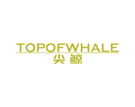 尖鲸 TOPOFWHALE 第39类运输旅行商标图样