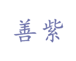 善紫 第21类厨房洁具商标图样