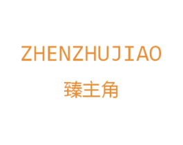 臻主角 第25类服装鞋帽商标图样