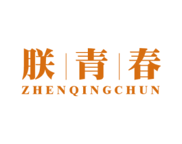 朕青春 第32类啤酒饮料商标图样