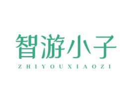 智游小子 第28类体育玩具商标图样