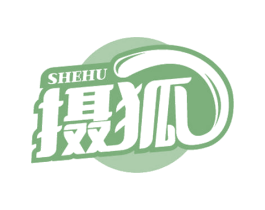 摄狐 第9类科学仪器商标图样