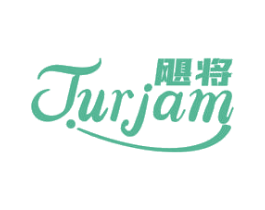 飓将 JUJAM 第9类科学仪器商标图样
