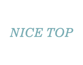 NICE TOP 第28类体育玩具商标图样