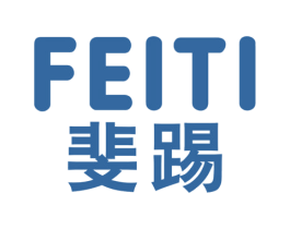 斐踢 第25类服装鞋帽商标图样