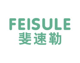 斐速勒 第25类服装鞋帽商标图样