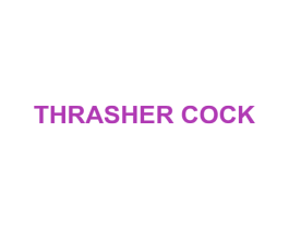 THRASHER COCK 第25类服装鞋帽商标图样