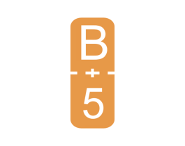 B+5 第25类服装鞋帽商标图样