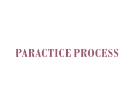 PARACTICE PROCESS 第25类服装鞋帽商标图样