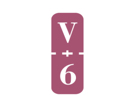 V 6 第3类化妆品商标图样