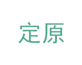 定原 第27类地毯席垫商标图样