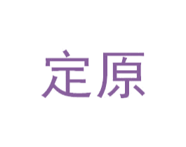 定原 第27类地毯席垫商标图样