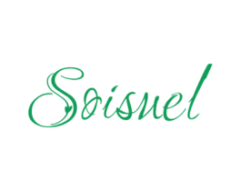 SOISUEL 第11类家用电器商标图样