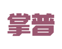 掌普 第9类科学仪器商标图样