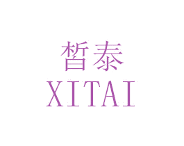 皙泰 第25类服装鞋帽商标图样