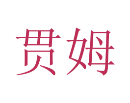 贯姆 第18类皮革箱包商标图样