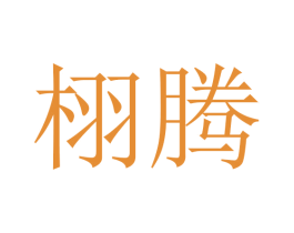栩腾 第28类体育玩具商标图样
