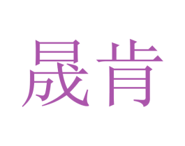 晟肯 第18类皮革箱包商标图样