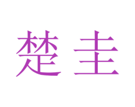 楚圭 第20类家具商标图样