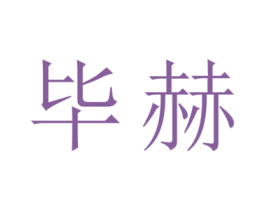 毕赫 第11类家用电器商标图样